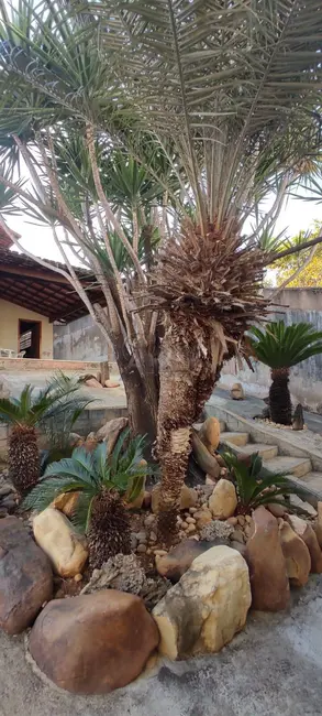 Casa com 3 quartos à venda, 642m2 em Ibituruna, Montes Claros - MG - imagem 6 Foto 6 de Casa com 3 quartos à venda, 642m2 em Ibituruna, Montes Claros - MG