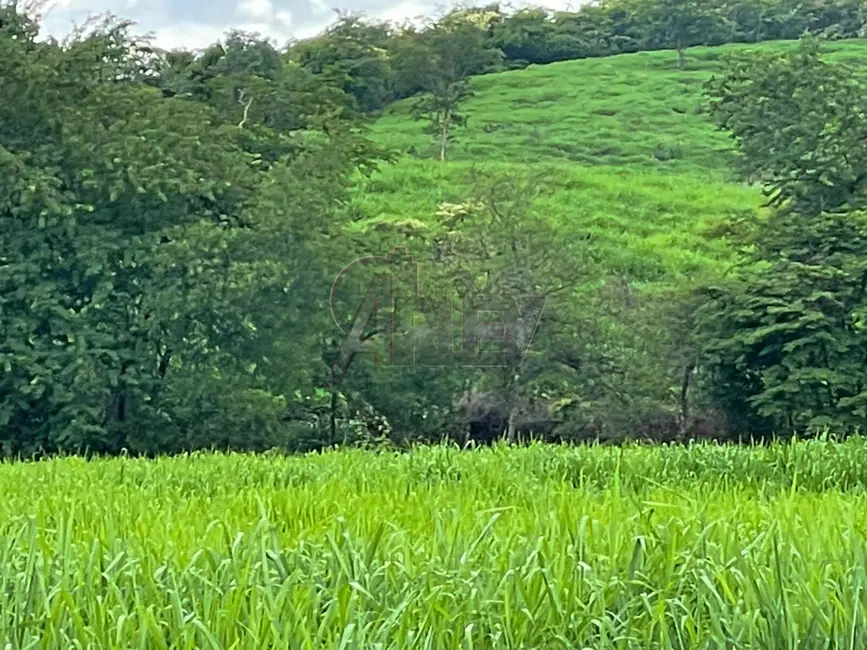 Fazenda / Haras com 3 quartos à venda, 56m2 em Montes Claros - MG - imagem 6 Foto 6 de Fazenda / Haras com 3 quartos à venda, 56m2 em Montes Claros - MG