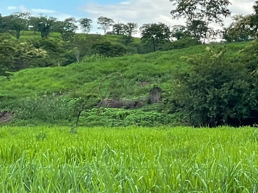 Fazenda / Haras com 3 quartos à venda, 56m2 em Montes Claros - MG - imagem 5 Foto 5 de Fazenda / Haras com 3 quartos à venda, 56m2 em Montes Claros - MG