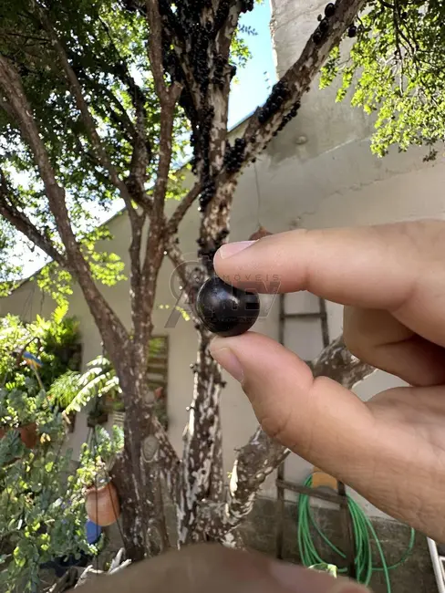 Casa com 3 quartos à venda, 180m2 em Morada do Sol, Montes Claros - MG - imagem 6 Foto 6 de Casa com 3 quartos à venda, 180m2 em Morada do Sol, Montes Claros - MG