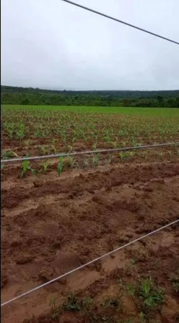 Foto 4 de Fazenda / Haras à venda em Montes Claros - MG