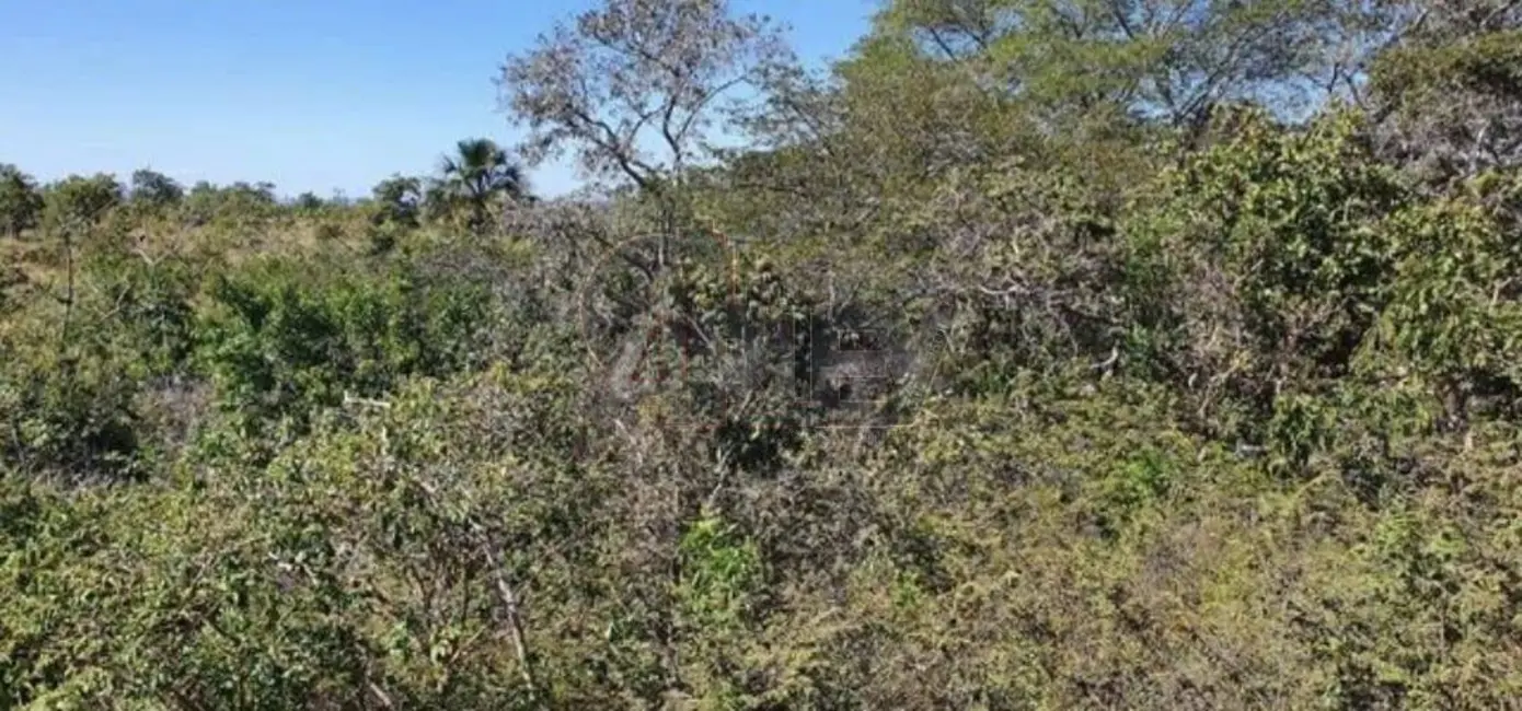 Fazenda / Haras à venda em Montes Claros - MG - imagem 4 Foto 4 de Fazenda / Haras à venda em Montes Claros - MG
