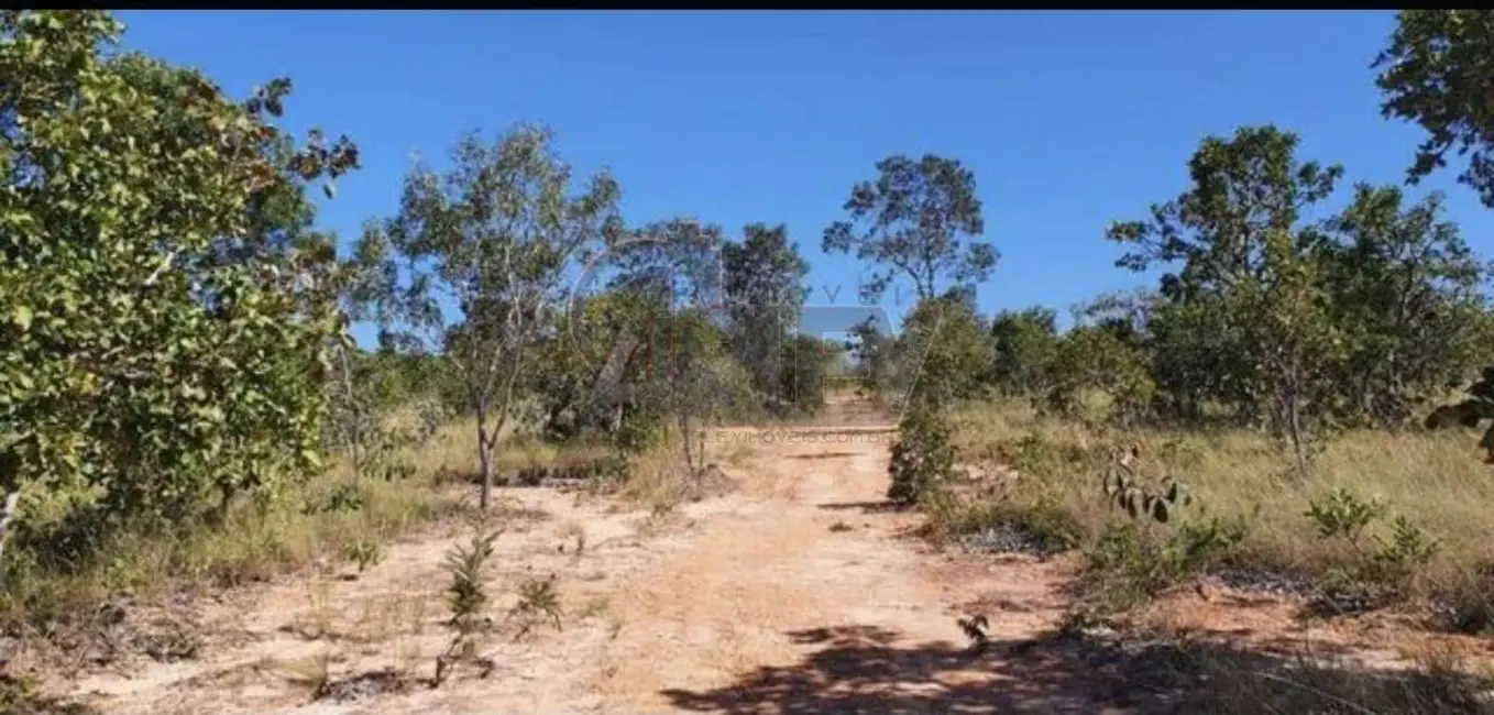 Fazenda / Haras à venda em Montes Claros - MG - imagem 9 Foto 9 de Fazenda / Haras à venda em Montes Claros - MG