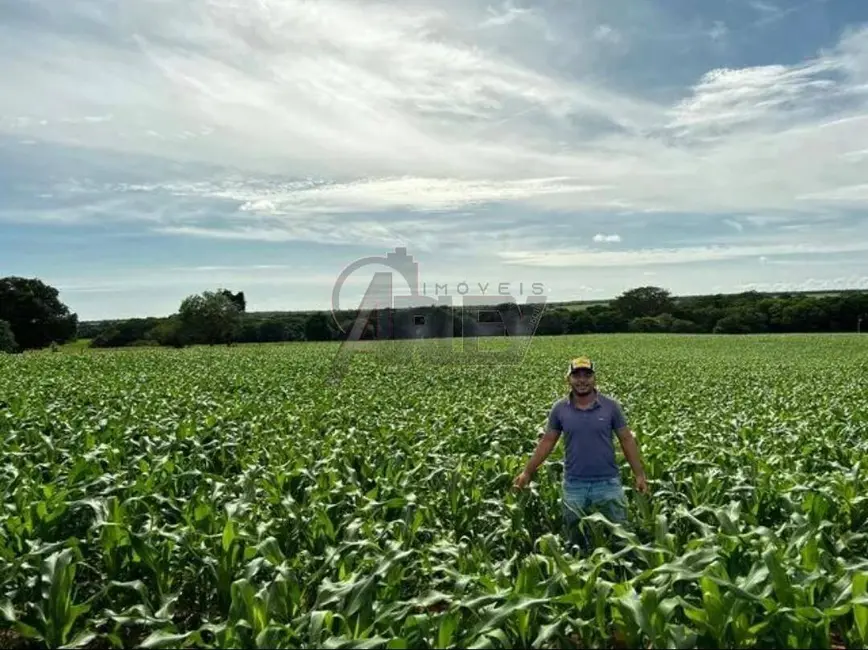 Foto 4 de Fazenda / Haras à venda em Montes Claros - MG