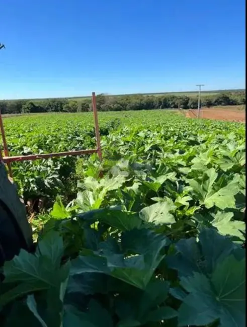 Foto 9 de Fazenda / Haras à venda em Montes Claros - MG
