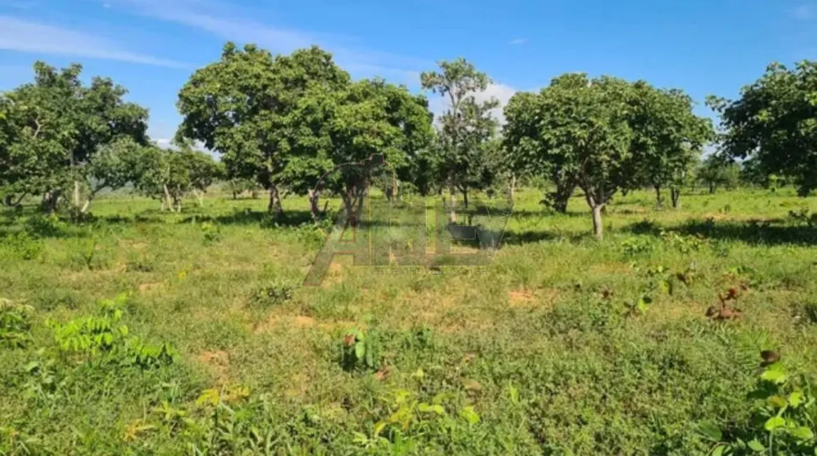 Fazenda / Haras à venda em Montes Claros - MG - imagem 6 Foto 6 de Fazenda / Haras à venda em Montes Claros - MG