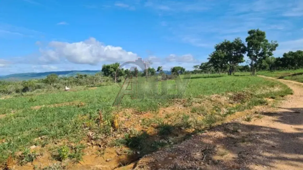Fazenda / Haras à venda em Montes Claros - MG - imagem 7 Foto 7 de Fazenda / Haras à venda em Montes Claros - MG