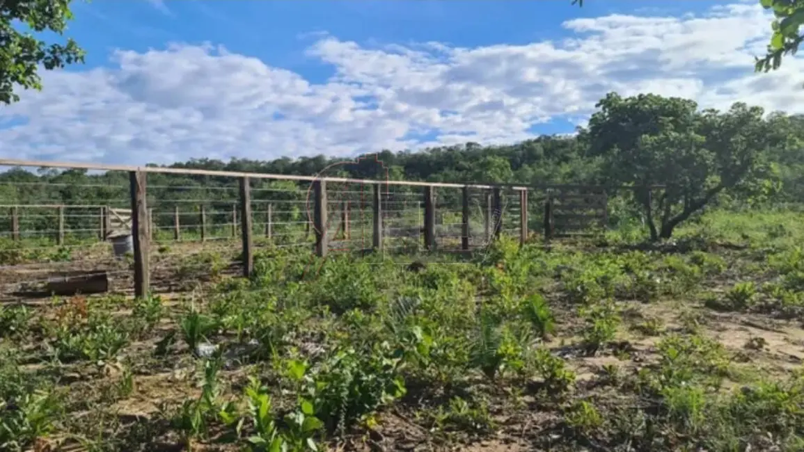 Fazenda / Haras à venda em Montes Claros - MG - imagem 9 Foto 9 de Fazenda / Haras à venda em Montes Claros - MG