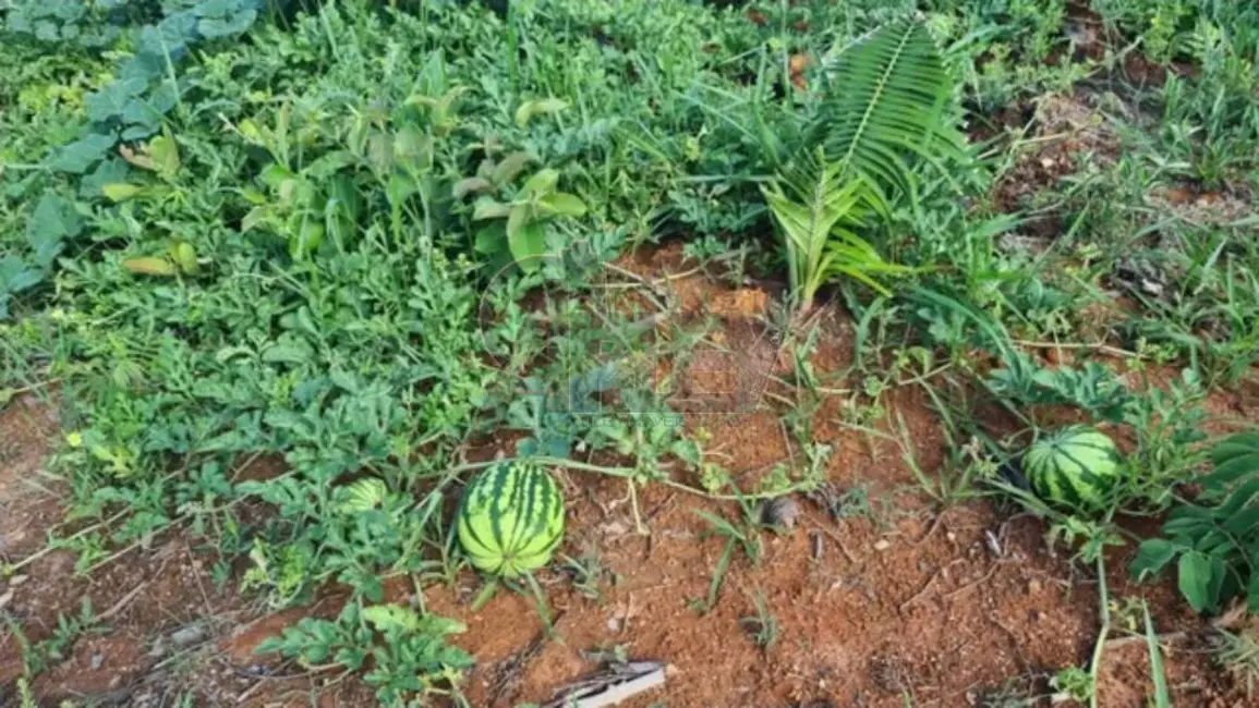 Fazenda / Haras à venda em Montes Claros - MG - imagem 5 Foto 5 de Fazenda / Haras à venda em Montes Claros - MG