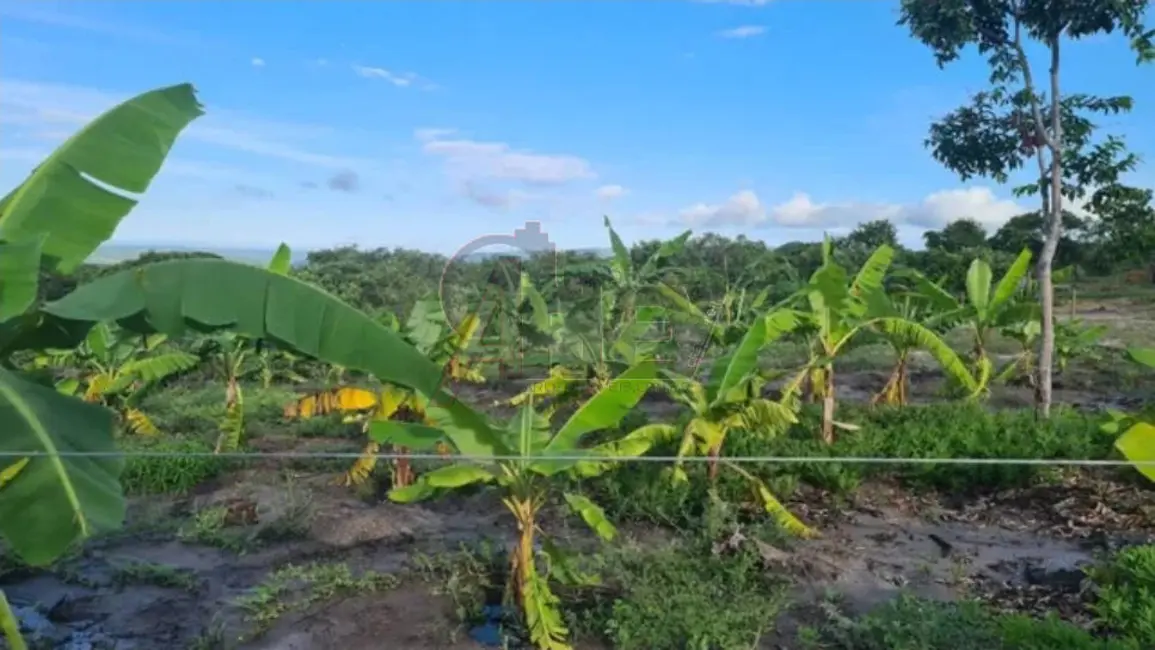 Fazenda / Haras à venda em Montes Claros - MG - imagem 8 Foto 8 de Fazenda / Haras à venda em Montes Claros - MG