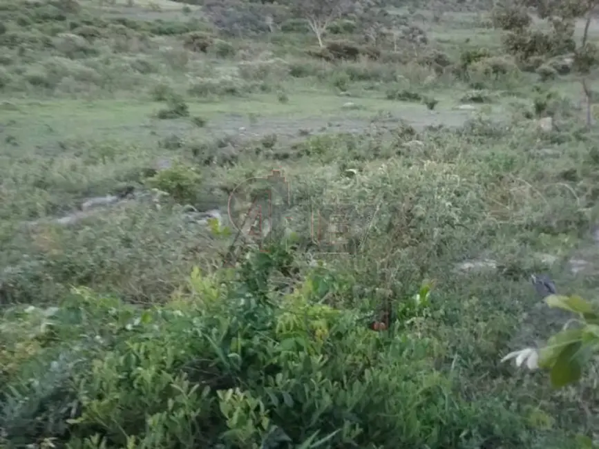 Foto 4 de Fazenda / Haras à venda em Montes Claros - MG