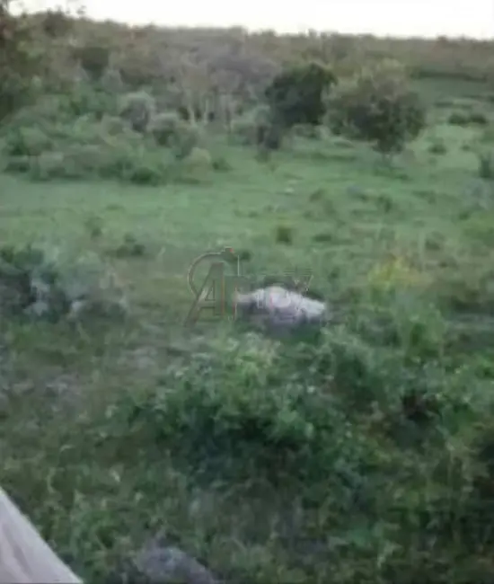 Foto 5 de Fazenda / Haras à venda em Montes Claros - MG