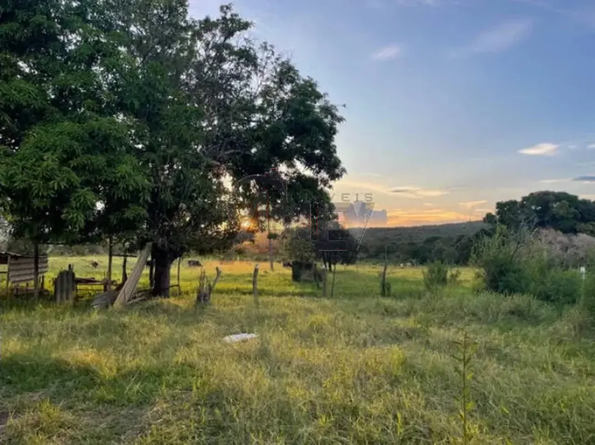 Foto 3 de Fazenda / Haras à venda em Montes Claros - MG