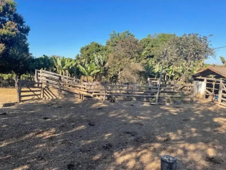 Fazenda / Haras à venda em Montes Claros - MG - imagem 7 Foto 7 de Fazenda / Haras à venda em Montes Claros - MG