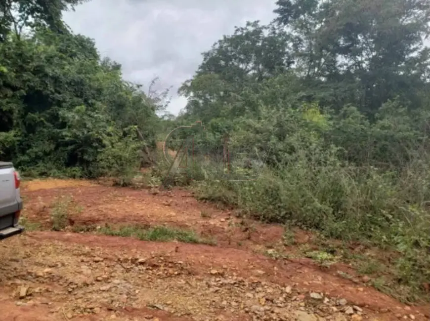 Foto 3 de Fazenda / Haras à venda em Montes Claros - MG