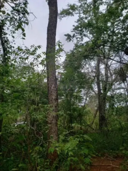 Foto 7 de Fazenda / Haras à venda em Montes Claros - MG