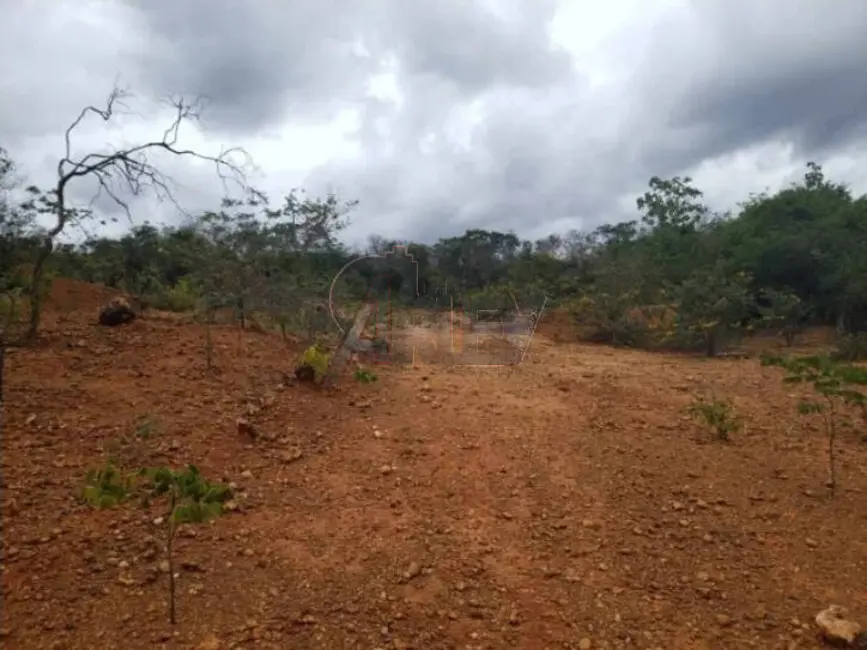 Foto 9 de Fazenda / Haras à venda em Montes Claros - MG