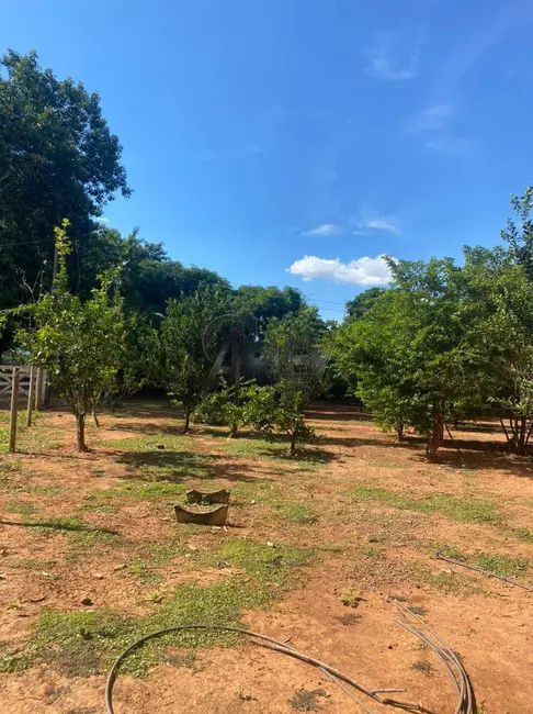 Foto 2 de Fazenda / Haras com 3 quartos à venda em Montes Claros - MG