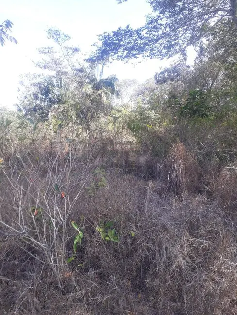 Fazenda / Haras à venda em Montes Claros - MG - imagem 7 Foto 7 de Fazenda / Haras à venda em Montes Claros - MG