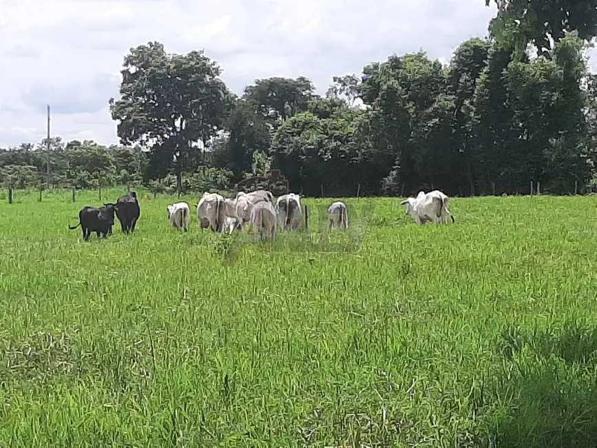 Foto 2 de Fazenda / Haras à venda em Montes Claros - MG