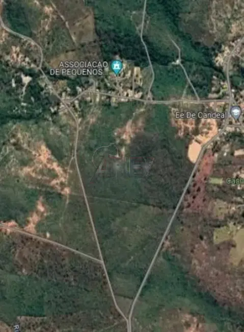 Foto 3 de Fazenda / Haras à venda em Montes Claros - MG