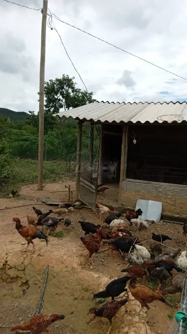 Foto 8 de Fazenda / Haras à venda em Montes Claros - MG