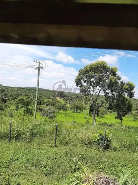 Fazenda / Haras à venda em Montes Claros - MG - imagem 5 Foto 5 de Fazenda / Haras à venda em Montes Claros - MG