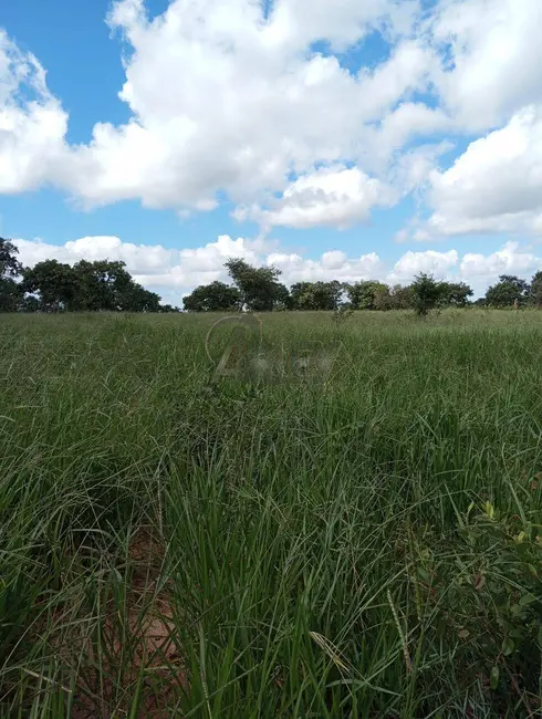 Foto 1 de Fazenda / Haras à venda em Montes Claros - MG