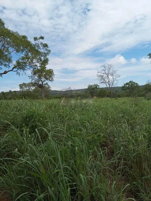 Foto 1 de Fazenda / Haras à venda em Montes Claros - MG