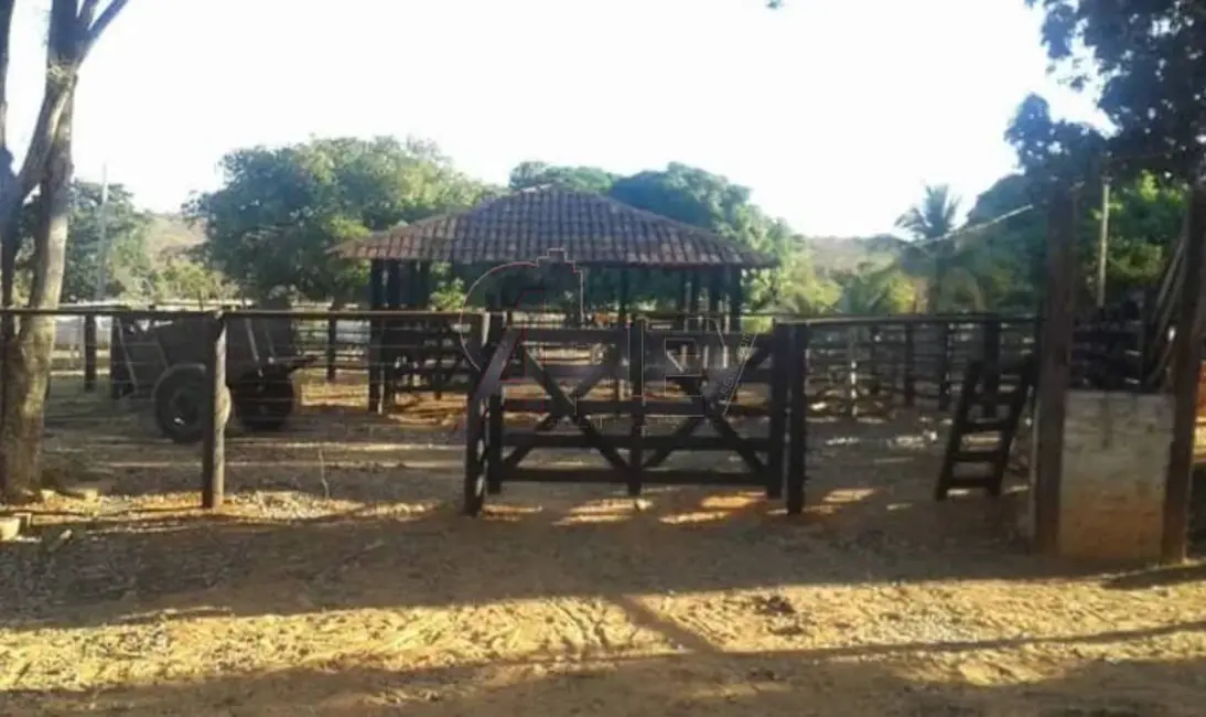 Fazenda / Haras à venda em Montes Claros - MG - imagem 3 Foto 3 de Fazenda / Haras à venda em Montes Claros - MG