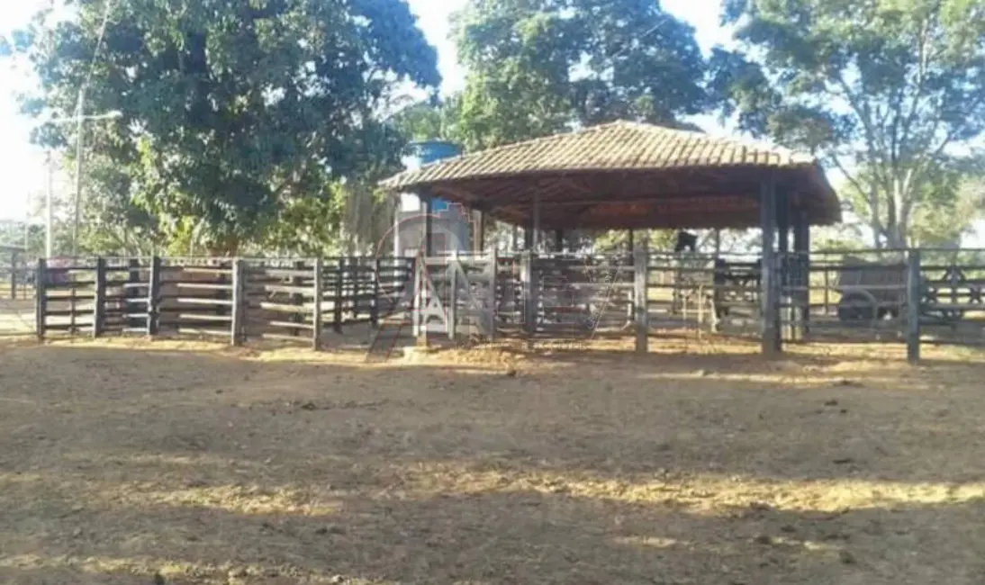 Fazenda / Haras à venda em Montes Claros - MG - imagem 6 Foto 6 de Fazenda / Haras à venda em Montes Claros - MG