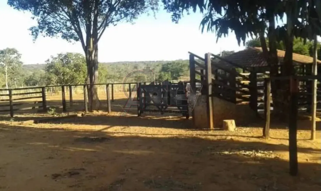 Fazenda / Haras à venda em Montes Claros - MG - imagem 5 Foto 5 de Fazenda / Haras à venda em Montes Claros - MG