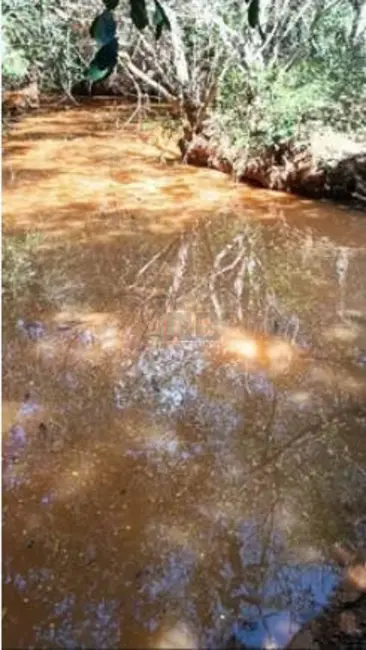 Foto 2 de Fazenda / Haras com 3 quartos à venda em Montes Claros - MG