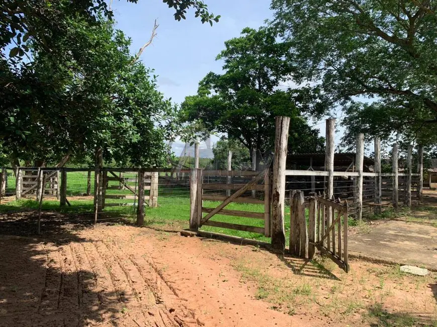 Foto 7 de Fazenda / Haras à venda em Montes Claros - MG