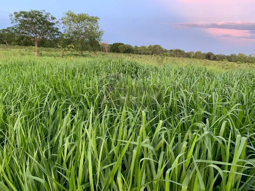Foto 9 de Fazenda / Haras à venda em Montes Claros - MG