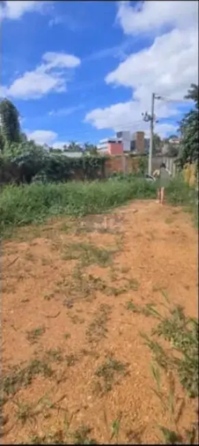 Terreno / Lote à venda em Montes Claros - MG - imagem 3 Foto 3 de Terreno / Lote à venda em Montes Claros - MG