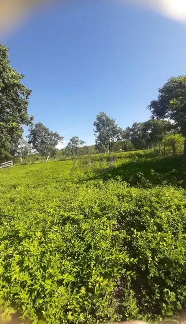 Foto 4 de Fazenda / Haras à venda em Montes Claros - MG