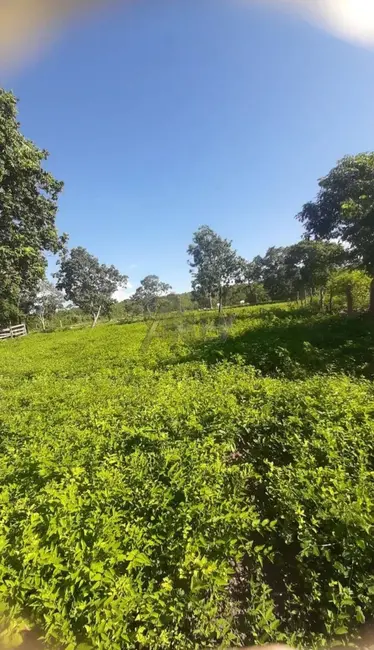 Foto 3 de Fazenda / Haras à venda em Montes Claros - MG