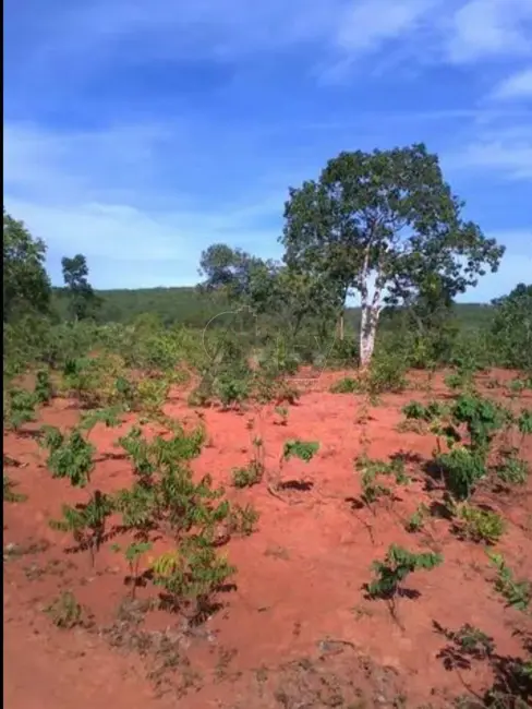 Foto 3 de Fazenda / Haras à venda em Montes Claros - MG