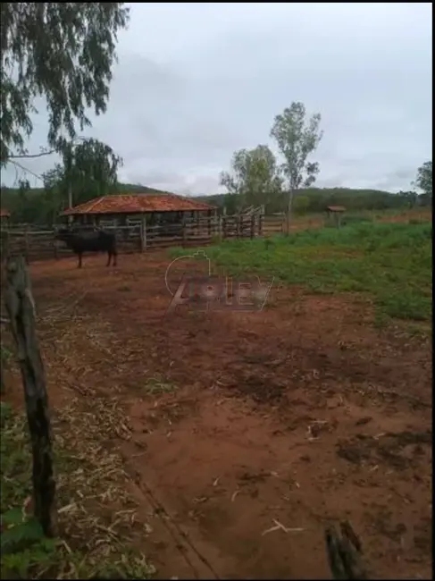 Foto 5 de Fazenda / Haras à venda em Montes Claros - MG