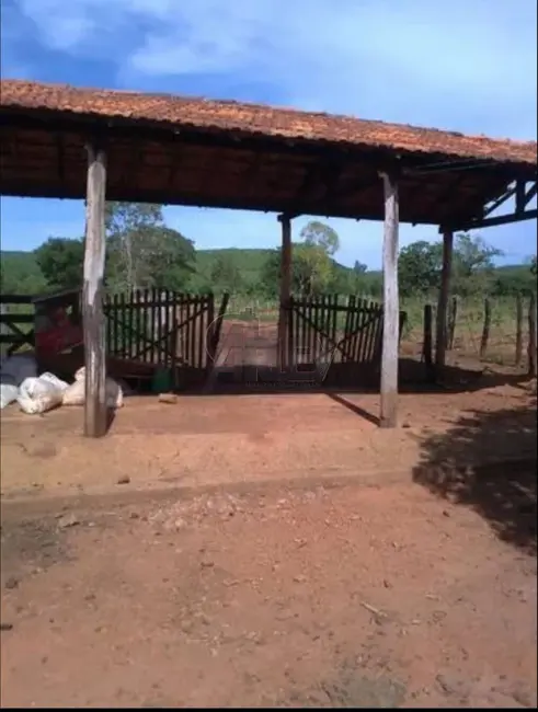 Foto 7 de Fazenda / Haras à venda em Montes Claros - MG