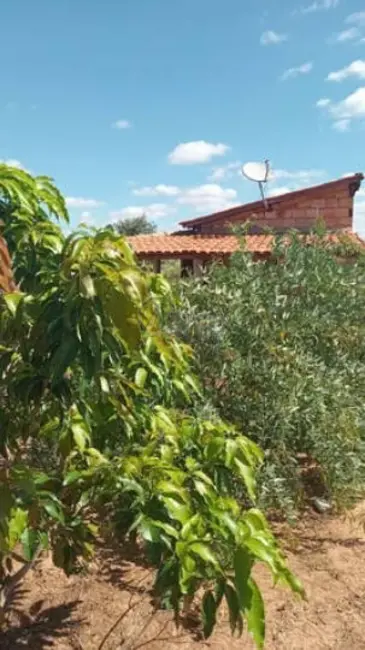 Foto 5 de Fazenda / Haras à venda em Montes Claros - MG