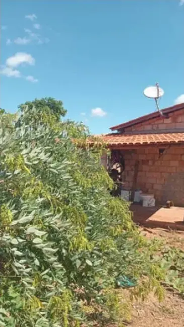 Foto 9 de Fazenda / Haras à venda em Montes Claros - MG