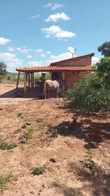Foto 8 de Fazenda / Haras à venda em Montes Claros - MG