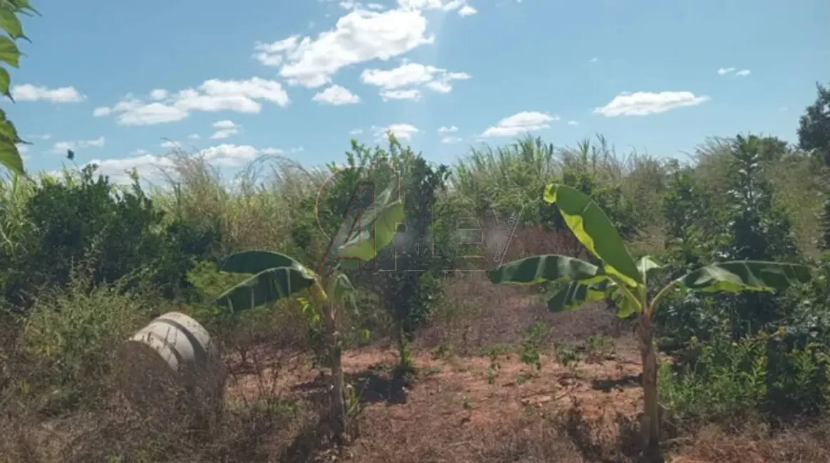 Foto 3 de Fazenda / Haras à venda em Montes Claros - MG