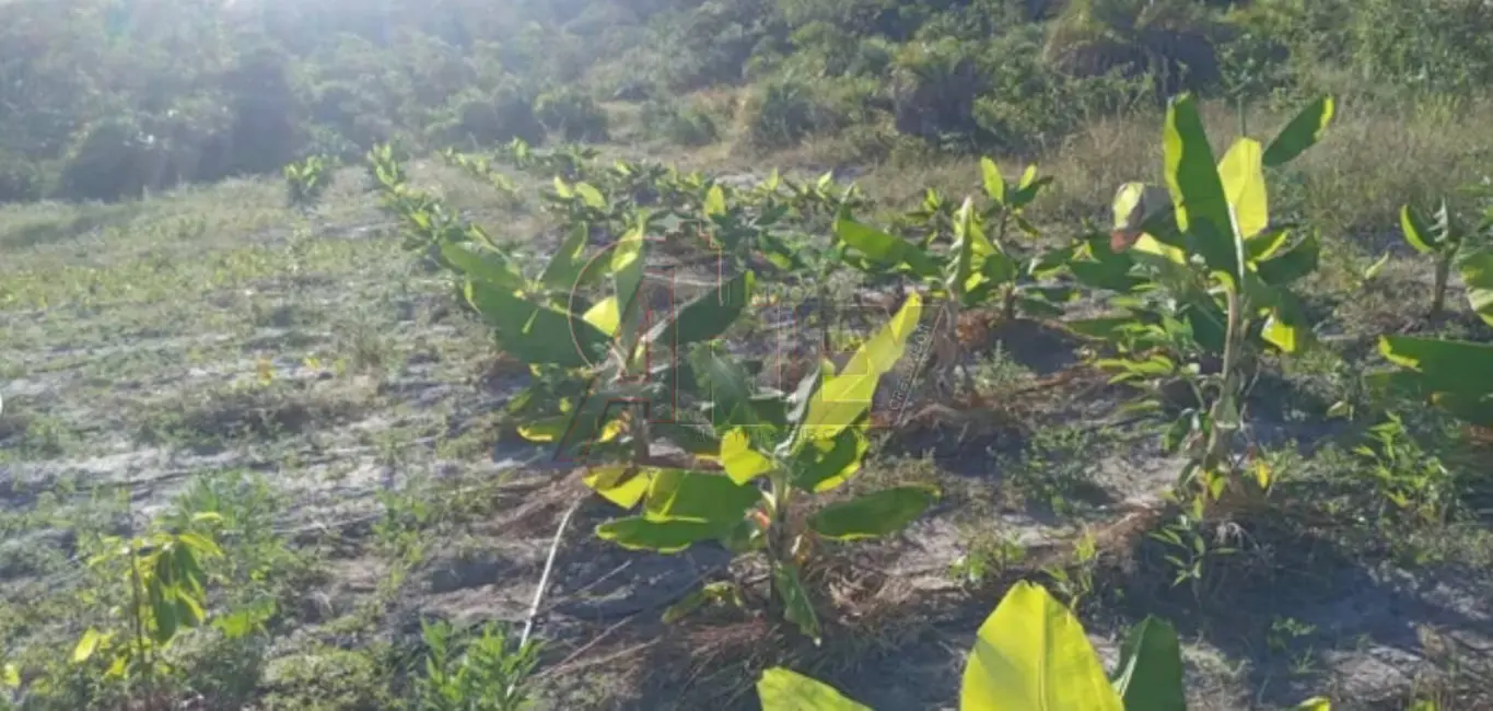 Foto 2 de Fazenda / Haras à venda em Montes Claros - MG