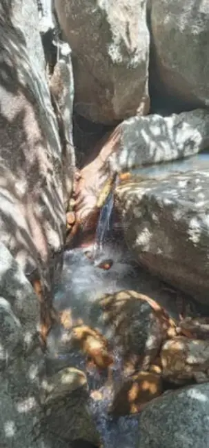 Foto 6 de Fazenda / Haras à venda em Montes Claros - MG