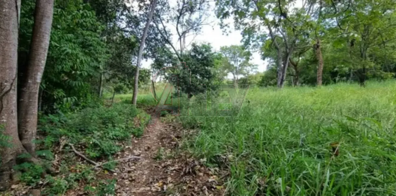 Fazenda / Haras à venda em Montes Claros - MG - imagem 2 Foto 2 de Fazenda / Haras à venda em Montes Claros - MG