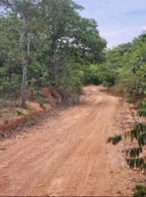 Foto 3 de Fazenda / Haras à venda em Montes Claros - MG