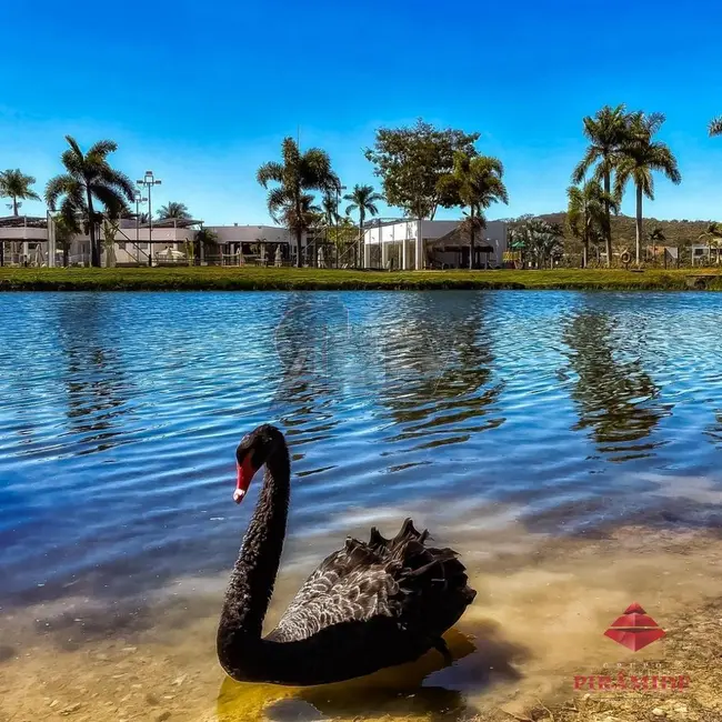 Terreno / Lote à venda, 1050m2 em Montes Claros - MG - imagem 5 Foto 5 de Terreno / Lote à venda, 1050m2 em Montes Claros - MG